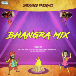 Unknown Bhangra Mix