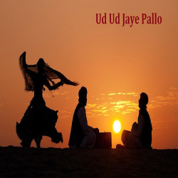 Unknown Ud Ud Jaye Pallo