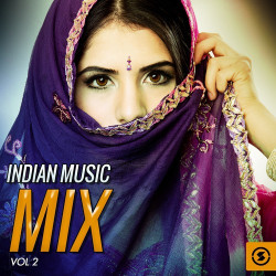 Unknown Indian Music Mix, Vol 2