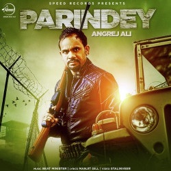 Punjabi Unknown