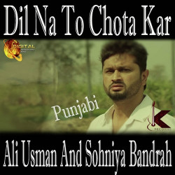 Unknown Dil Na To Chota Kar