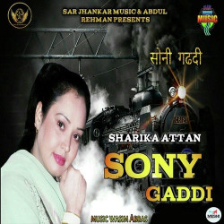 Punjabi Unknown