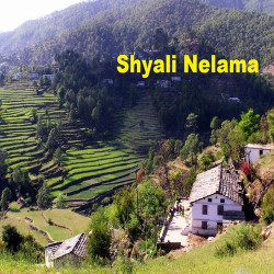 Unknown Shyali Nelama
