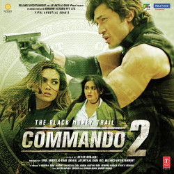 Unknown Commando 2