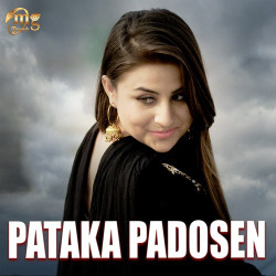 Unknown Pataka Padosen