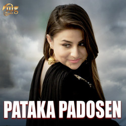 Unknown Pataka Padosen