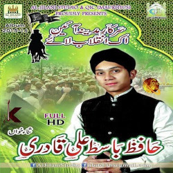 Unknown Sarkar E Madina Aae
