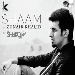 Unknown Shaam