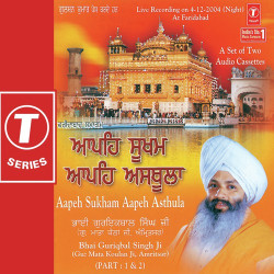 Hindi-Singles Unknown