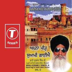 Unknown Aapna Meet Suami Gaiye (Vol 5)