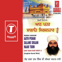 Unknown Aath Pehar Salahe Sirjan Haar Toon