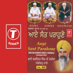 Unknown Aaye Sant Parone (Vol 60)