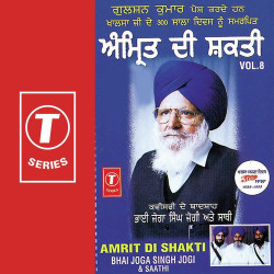 Unknown Amrit Di Shakti (Vol 8)