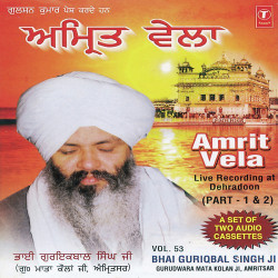 Unknown Amrit Vela (Vol 2)