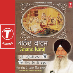 Unknown Anand Karaj (Vol 10)