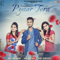 Punjabi Unknown