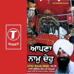 Unknown Apna Naam Deho (Vol 29)