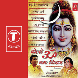 Unknown Bolo Om Namah Shivay