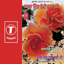 Unknown Charnan Vich Rakhi Baba Ji (Vol 8)