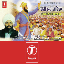 Unknown Chojee Mere Govinda (Vol 25)