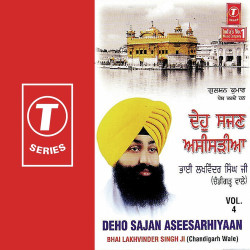 Unknown Deho Sajan Aseesarhiyaan (Vol 4)