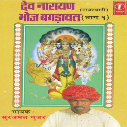 Unknown Dev Narayan Bhoj Bagdawat (Part 1)