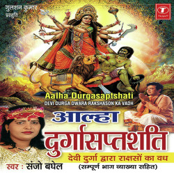 Unknown Durga Saptshati (Aalha Sampoorna Bhaag Vyakhya Sahit)