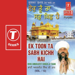 Unknown Ek Toon Ta Sabh Kichh Hai (Vol 13)