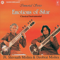 Unknown Emotions Of Sitar