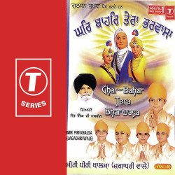 Unknown Ghar-Bahar Tera Bharwasa (Vol 9)