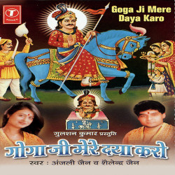 Unknown Goga Ji Mere Daya Karo