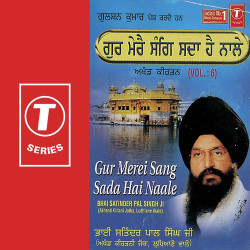 Unknown Gur Merei Sang Sada Hai Naale (Vol 6)