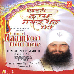 Hindi-Singles Unknown