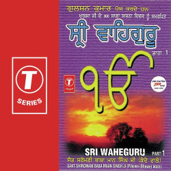 Hindi-Singles Unknown