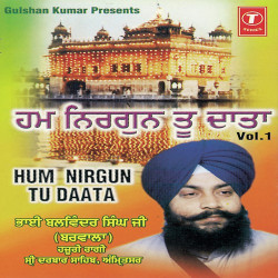 Unknown Hum Nirgun Tu Daata (Vol 1)