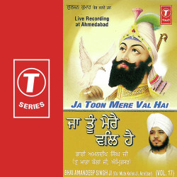 Unknown Ja Toon Mere Val Hai (Vol 17)