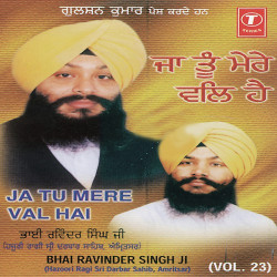 Unknown Ja Tu Mere Val Hai (Vol 23)