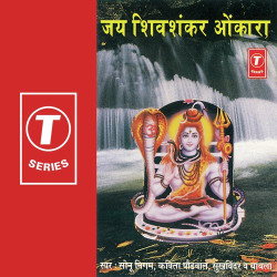 Unknown Jai Shiv Shankar Onkara