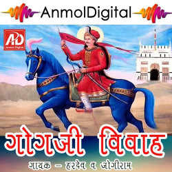 Unknown Gogaji Vivah