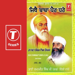 Unknown Jitthey Baba Pair Dhare (Vol 66)