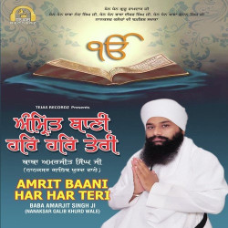 Unknown Amrit Baani Har Har Teri