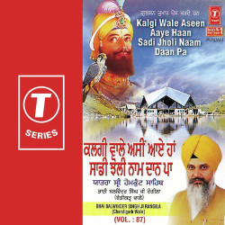 Unknown Kalgi Wale Aseen Aaye Haan Sadi Jholi Naam Daan Pa (Vol 87)