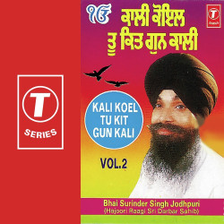 Unknown Kali Koel Tu Kit Gun Kali (Vol 2)