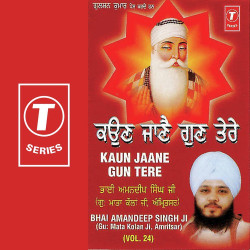 Unknown Kaun Jaane Gun Tere (Vol 24)