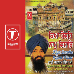 Unknown Kya Sowhe Nam Visar (Vol 7)