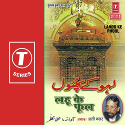 Hindi-Singles Unknown