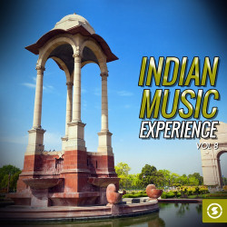 Unknown Indian Music Experience, Vol 8