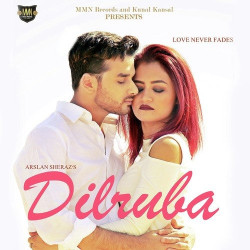 Unknown Dilruba