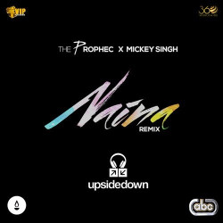 Unknown Naina (Upsidedown Remix)