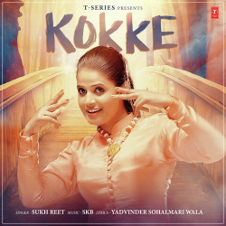 Unknown Kokke